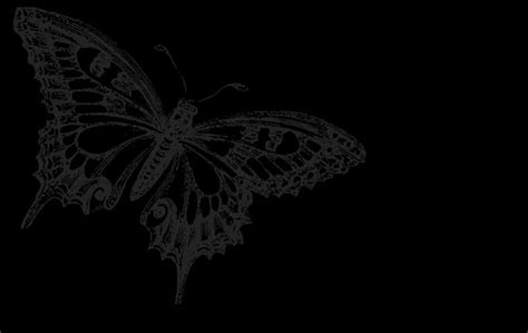 Black Butterfly Backgrounds Wallpaper Cave Cute Black Wallpaper