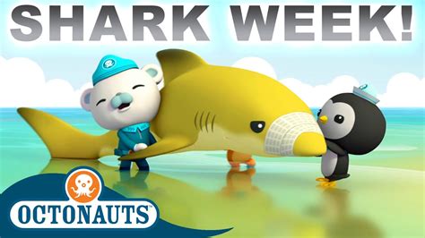 Octonauts Lemon Shark Rescue 🦈🍋⛑️ Season 1 Full Episodes