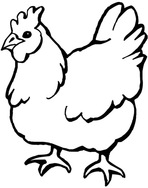 59 Sketsa Gambar Binatang Ayam Terbaru Ukiranku