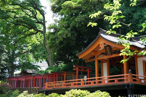 Creative agency for your design needs. お宮参りの出張撮影@根津神社／東京都／文京区 | フォト ...