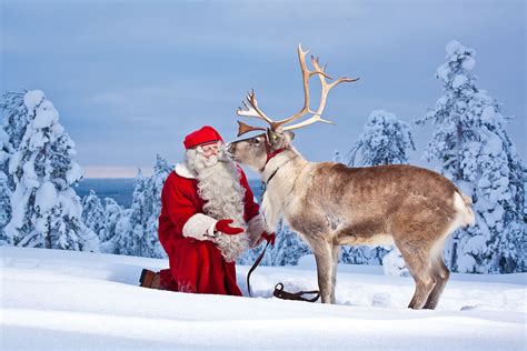 Pix For Santas Reindeer Deutsche Weihnachten Weihnachtsszenen