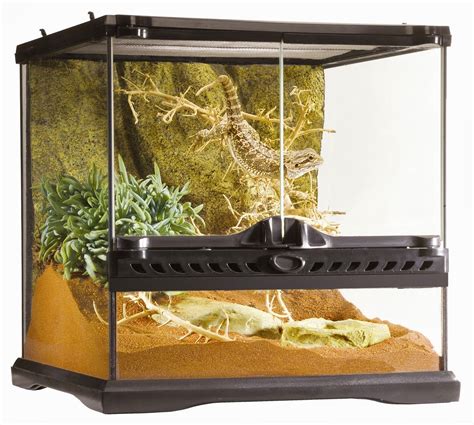 Snake Cages For Sale Cheap Uk