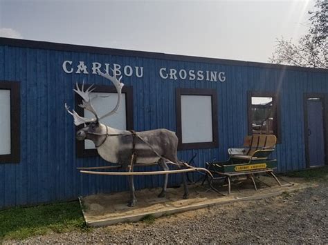 Caribou Crossing Trading Post Carcross 2021 All You Need To Know Before You Go With Photos