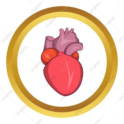 รูปไอคอนเวกเตอร์มนุษย์หัวใจ png การ์ตูน หัวใจ มนุษย์ภาพ png และ เวกเตอร์ สำหรับการดาวน์โหลดฟรี