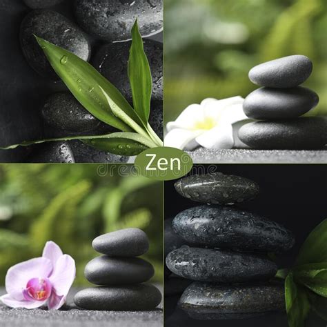 Photos Of Stones And Plants Zen And Harmony Stock Image Image Of