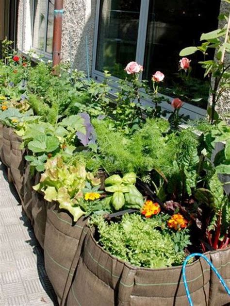 Simple Diy Vegetable Garden Design Ideas For Inspiration My Desired Home