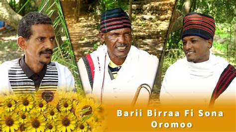 Barii Birraa Fi Sona Oromoo Qophii Addaa Bara Haaraa 2014 Prime