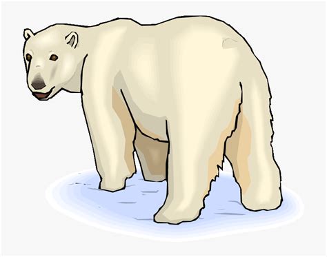 Pin Baby Polar Bear Clipart Clip Art Polar Bear Hd Png Download