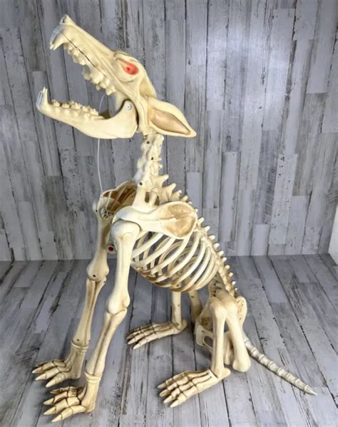 Life Size Howling Wolf Skeleton Led Animated Halloween Prop Light Up