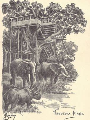 Arrival of her majesty the queen elizabeth ii part 1 wmv. Your memories of the Queen's 60 years | Jim corbett, Kenya ...