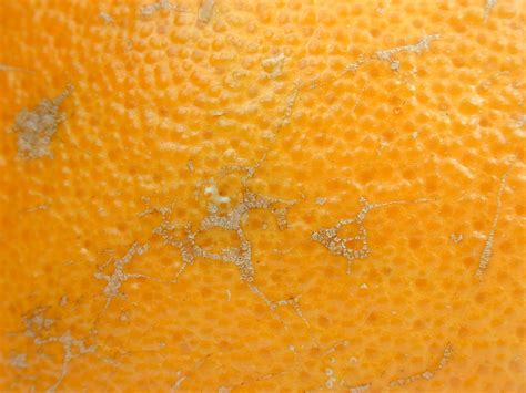 Fruit Texture