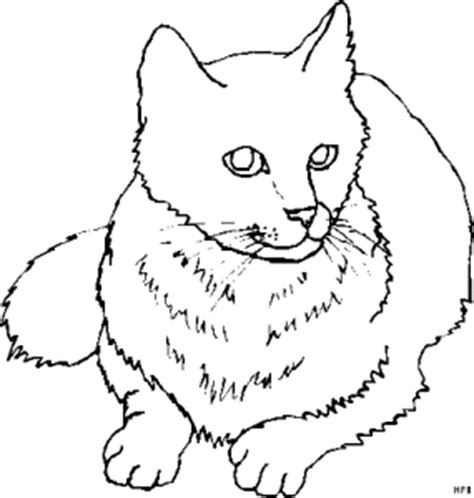 Con un fant�stico repunte en la segunda mitad, los tricampeones superaron. Liegende Suesse Katze Ausmalbild & Malvorlage (Tiere)