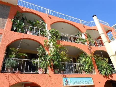 Own or manage this property? Bajas Cactus Hotel y Hostel (Cabo San Lucas, Los Cabos ...