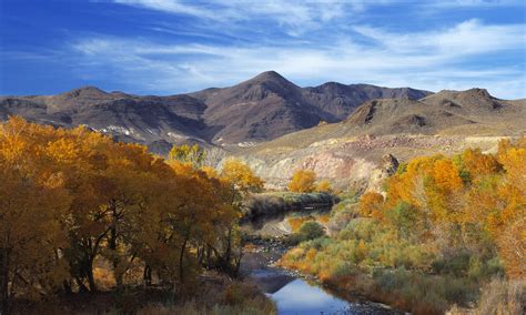 10 Places to Enjoy Northern Nevada this Fall - Parc Forêt at Montrêux