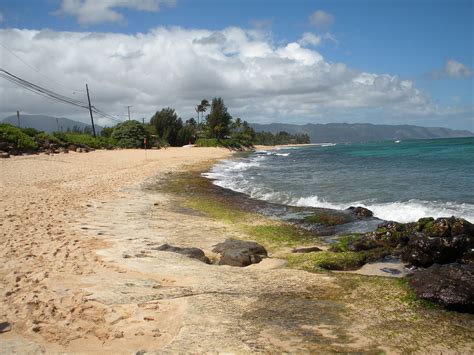 Laniakea Oahu Paradise For Turtle Watchers Also Known As Flickr