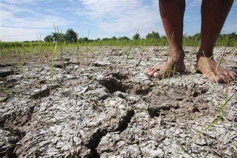Dilg Orders Lgus To Prepare For El Niño