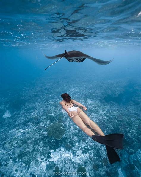 Manta Point Nusa Penida Snorkeling With Manta Rays