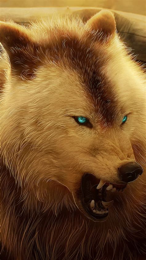 1080p Free Download Angry Wolf Angry Animal Blue Eyes Face Mad