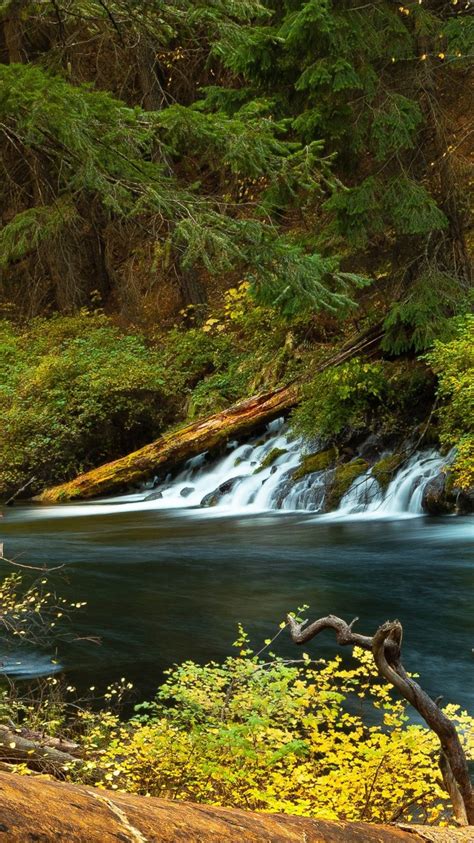 Oregon Forest Waterfall And River 4k Hd Nature Wallpapers Hd