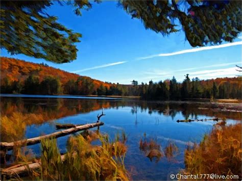 Fall Forest Scene Autumn Lake Reflection With Floating