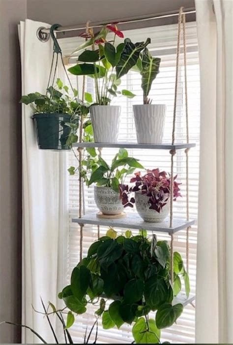 3 Tier Hanging Plant Shelf Etsy Uk Hanging Plants Indoor Hanging