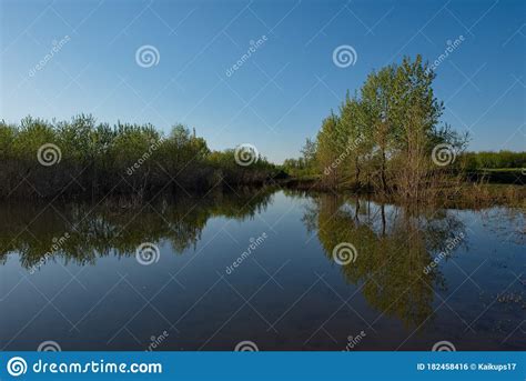 Spring Flood On The Siberian River Stock Photo Image Of Nature River