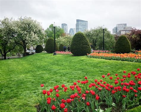 Spring In Boston Boston Public Garden Erin Flickr