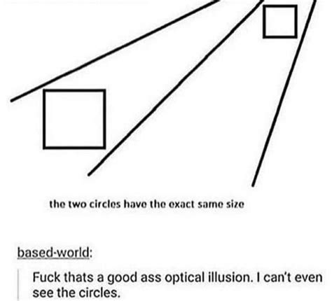 Best Optical Illusion Very Funny Memes Memes Funny Photos