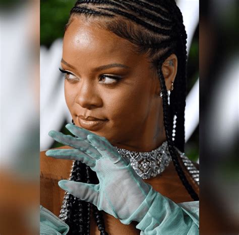 360 Degrees Worth Close Up Shots Of The Braids Rihanna Rocked To The