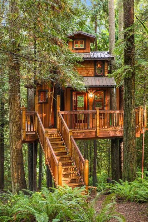 25 Amazingly Cool Tree Houses Pinoy Eplans Modern House Designs