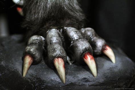 Wolf Claws Peculiar People