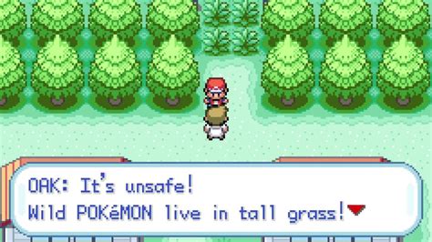Wild Pokémon Live In Tall Grass Youtube