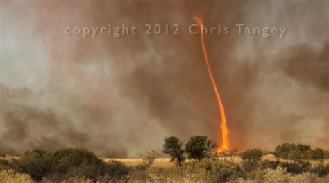 Fire Tornadoes A Rare Weather Phenomenon Australian Geographic