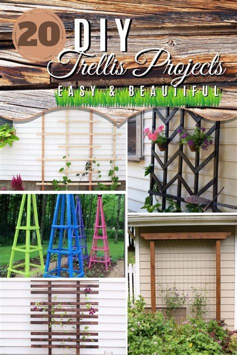 20 Easy Diy Trellis Projects To Really Prop Up Your Garden Diy