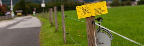 We should state here, that if used properly and with appropriate training, an electric dog fence could be a good fencing option for you and your dog. 15 Best Electric Dog Fences In 2018 | Review & Buying Guide