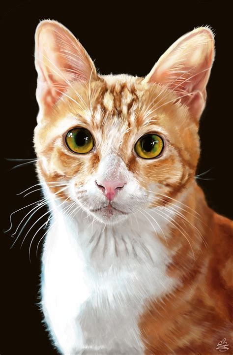 Realistic Cat Portrait Cat Portraits Watercolor Cat Cat Art