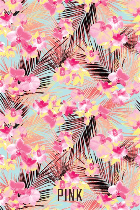 Pink Victoria Secret Wallpapers Wallpapersafari