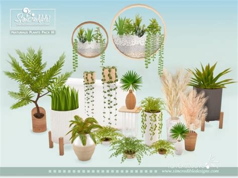 12 Sims 4 Cc Plants Buperenith