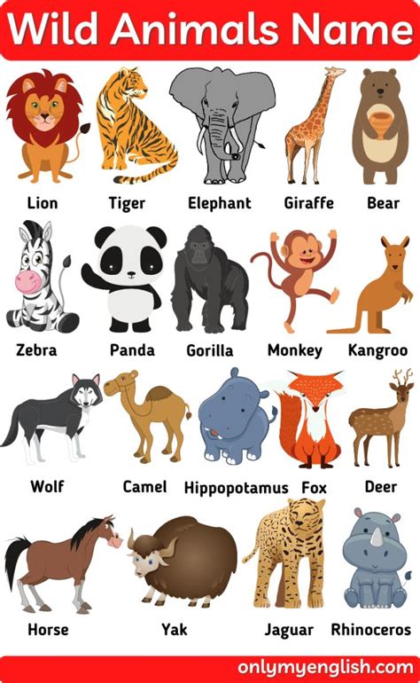 Wild Animals Name List With Pictures In English Animals Wild Animals