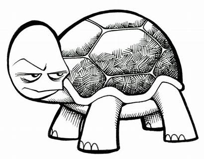 Turtle Cartoon Coloring Pages Hard Angry Awesome