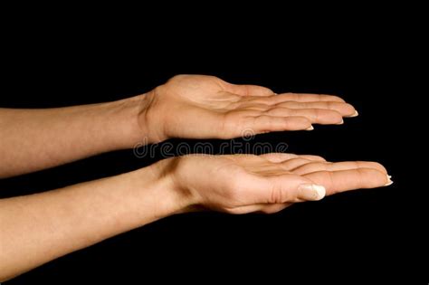 Hand Open Palm Facing Up Stock Photos Free And Royalty Free Stock
