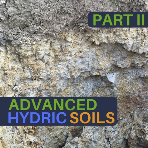 Advanced Hydric Soils Online