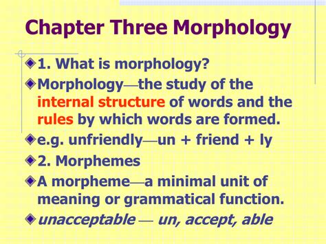 Chapter 3 Morphology