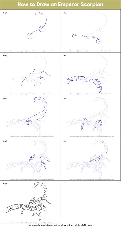 How To Draw An Emperor Scorpion Printable Step By Step Drawing Sheet