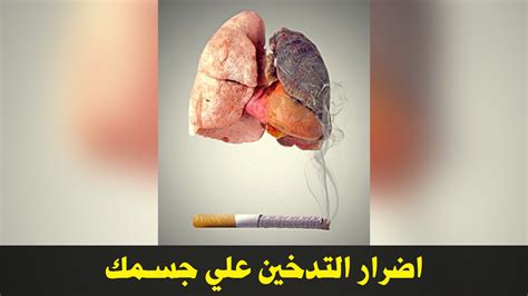 اضرار التدخين علي جسمك أبرزها السرطانات وأمراض القلب