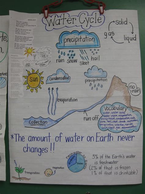 Water Cycle Diagram 5th Grade