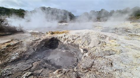 Hells Gate Rotorua Mud Pools And Geothermal Walkway Discover Aotearoa