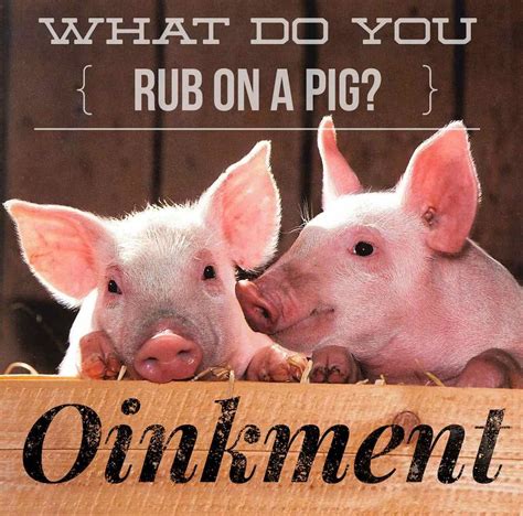Share these funny jokes for kids and best kids jokes. Pin by Johnny Parker on Kids Jokes Memes | Animals, Pig ...