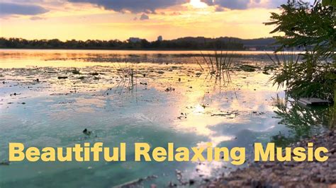 Beautiful Relaxing Music With Beautiful Nature For Stress Relief