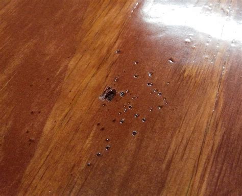 Cracks wider than 1/4 inch that result from warping in the wood and not separated sections of the floating floor can be filled with rope. finishing - How to fill in holes and gaps after applying ...
